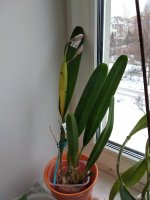 IMG_20211125_113828.jpg