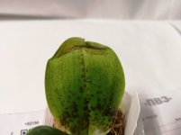 IMG_20211202_181002.jpg