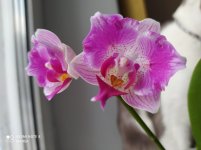 IMG_20211208_101547.jpg