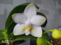 IMG_20211209_095856.jpg