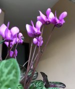17AB2A06-1AC4-4C91-AC3C-D14089679527.jpeg