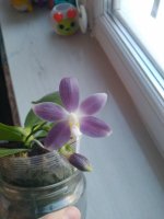 IMG_20211211_142410.jpg