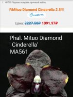 Screenshot_20200921_145057.jpg