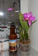 DSCN8341.JPG