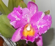 DSCN8342.JPG