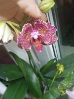 IMG_20211217_170020.jpg