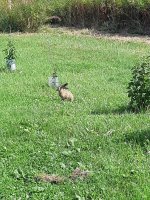 IMG-20210813-WA0008.jpg
