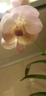 20211230_003747.jpg