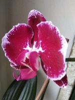 IMG_20220103_143906.jpg