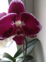 IMG_20220103_143922.jpg