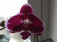 IMG_20220103_144000.jpg