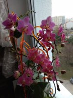 IMG_20220103_144014.jpg