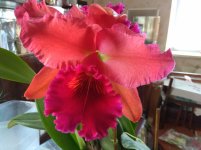 IMG_20220104_093441.jpg