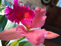 IMG_20220104_093630.jpg