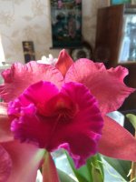 IMG_20220104_093658.jpg