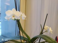 IMG_20220105_170740.jpg