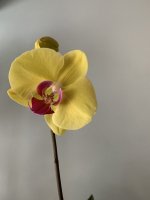 088AEBD8-20C9-48AF-AA99-C28167CB3234.jpeg