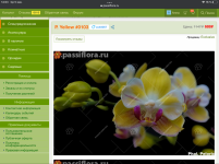 7745C3D0-8DE6-4E81-9315-31EF07FCA861.png