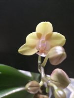 IMG_20220107_202240.jpg
