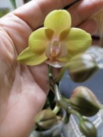 IMG_20220107_202443.jpg