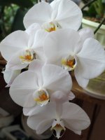 IMG_20220108_145730.jpg