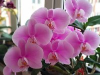 IMG_20220108_145656.jpg