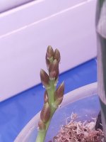 IMG20220106074826.jpg