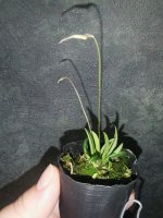 IMG_20220107_234353.jpg