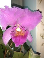 IMG_20220117_095435.jpg