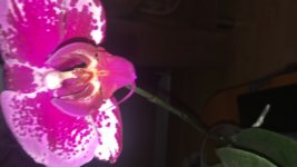 79D56B16-5FEF-4840-AB64-90CDE580F126.jpeg