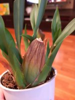 IMG20220118063841.jpg