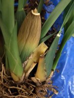 IMG20220118205707.jpg