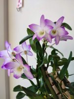 IMG_20220107_123620.jpg