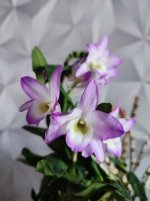 IMG_20220107_123708.jpg