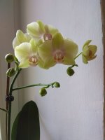 IMG_20220123_133829.jpg