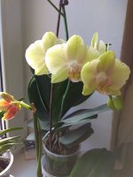 IMG_20220123_133939.jpg