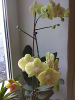 IMG_20220123_134127.jpg