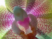 IMG_20220123_134953.jpg