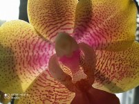 IMG_20220123_134958.jpg