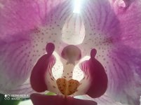 IMG_20220124_131237.jpg