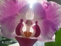 IMG_20220124_131241.jpg