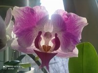 IMG_20220124_131248.jpg