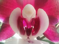 IMG_20220124_131330.jpg