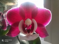 IMG_20220124_131404.jpg