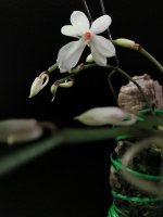 IMG_20220125_162803.jpg