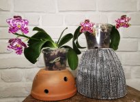 IMG_20220125_163130~2.jpg