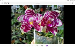 Screenshot_20211227-103953_Yandex.jpg