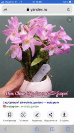 781CB3E1-5880-4BB4-83AA-D038F436A131.png