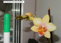 DSCN8369.JPG