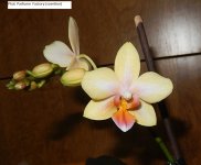 DSCN8381.JPG
